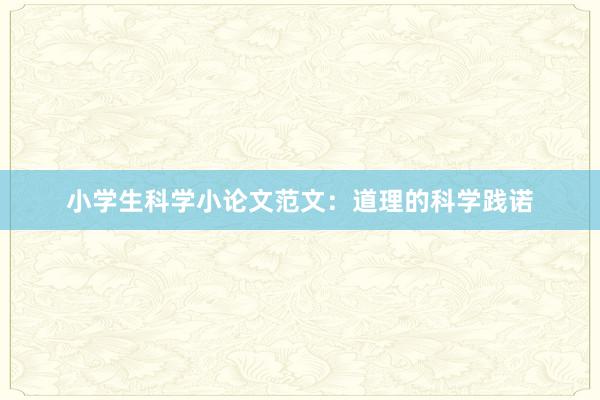 小学生科学小论文范文：道理的科学践诺