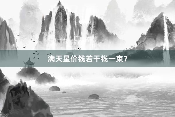 满天星价钱若干钱一束？